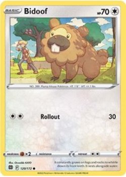 Bidoof 120/172