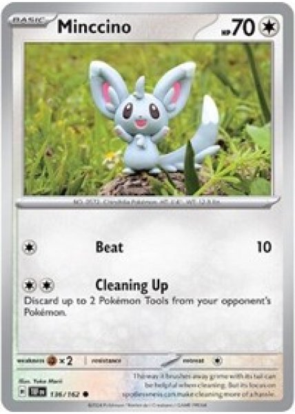 Minccino - 136/162 - Reverse Holofoil