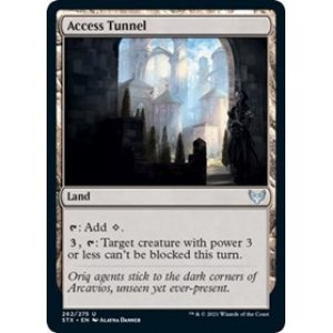 Access Tunnel - Foil