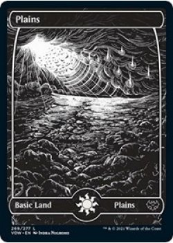 Plains (269) - Foil