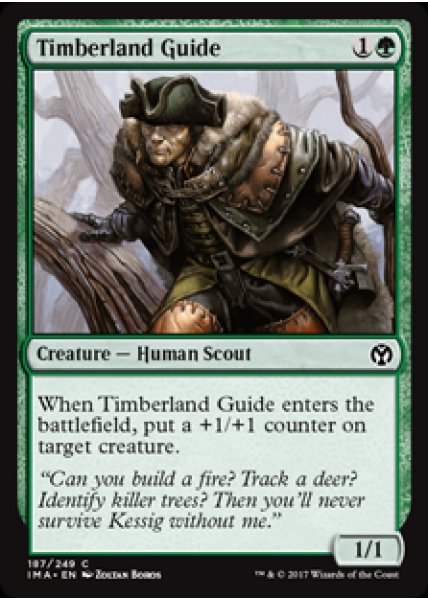 Timberland Guide - Foil
