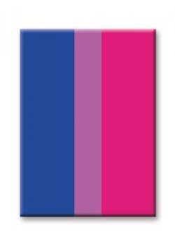 Magnet: Pride Flag - Bisexual