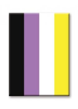 Magnet: Pride Flag - Non-Binary
