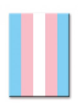 Magnet: Pride Flag - Trans