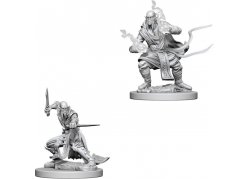 D&D Nolzur's Marvelous Unpainted Miniatures: Githzerai