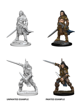 Pathfinder Unpainted Miniatures: Human Male Fighter