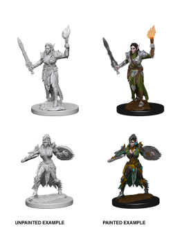 Pathfinder Unpainted Miniatures: Elf Female Fighter