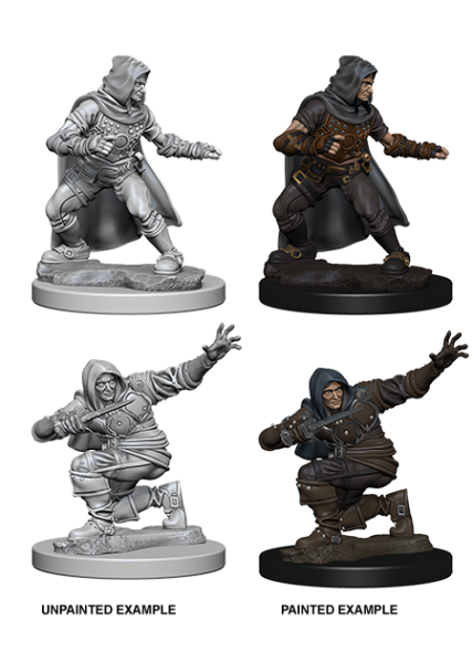 Pathfinder Unpainted Miniatures: Human Male Rogue