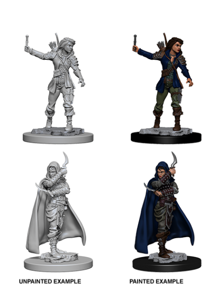 Pathfinder Unpainted Miniatures: Human Female Rogue