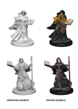 D&D Nolzur's Marvelous Unpainted Miniatures: Human Female Wizard