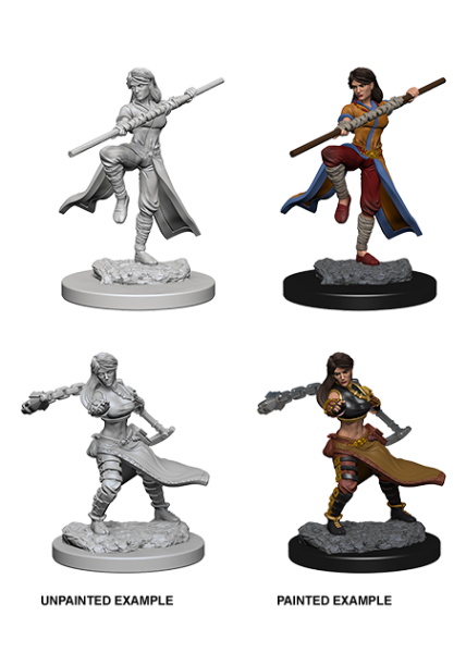 D&D Nolzur's Marvelous Unpainted Miniatures: Human Female Monk