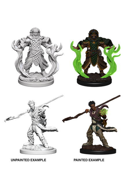 D&D Nolzur's Marvelous Unpainted Miniatures: Human Male Druid