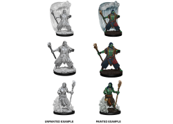 D&D Nolzur's Marvelous Unpainted Miniatures: Water Genasi Male Druid