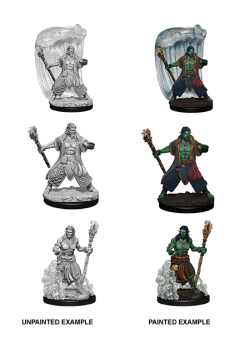 D&D Nolzur's Marvelous Unpainted Miniatures: Water Genasi Male Druid