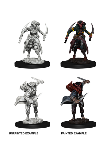 D&D Nolzur's Marvelous Unpainted Miniatures: Tiefling Female Rogue