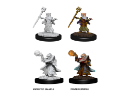 D&D Nolzur's Marvelous Unpainted Miniatures: Male Gnome Wizard