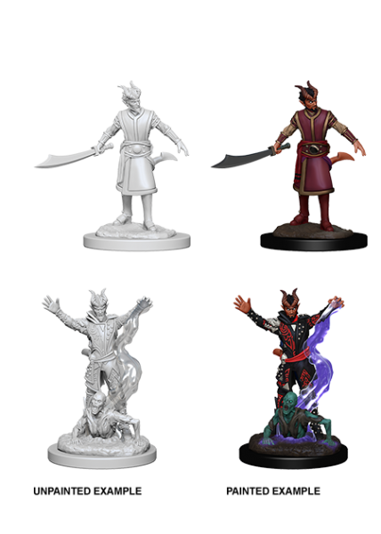 D&D Nolzur's Marvelous Unpainted Miniatures: Male Tiefling Warlock