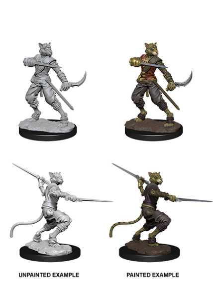 D&D Nolzur's Marvelous Unpainted Miniatures: Male Tabaxi Rogue